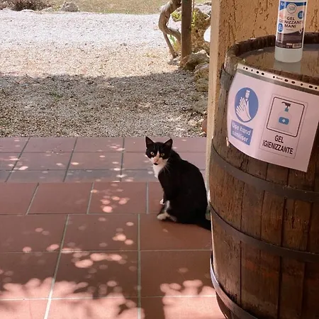 8380 - Pian Del Molino * Saturnia