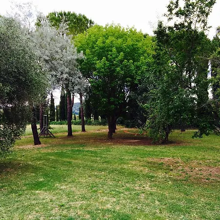 8380 - Pian Del Molino